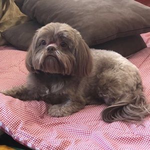 Meet your Posher, Bhavi